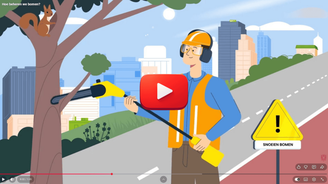 Naar YouTube-video "Hoe beheren we bomen?"