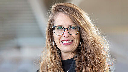 afbeelding Regisseur veiligheid